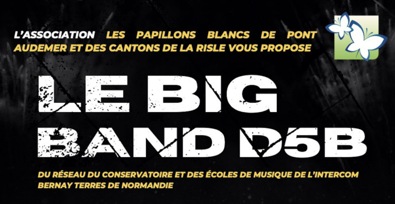 Lire la suite à propos de l’article Concert BIG BAND D5B