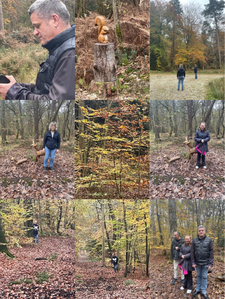 Lire la suite à propos de l’article Sortie automnale en forêt pour les résidents de la Licorne