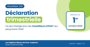 Lire la suite à propos de l’article AAH et trimestrialisation : ce qui change pour les travailleurs d’ESAT